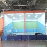 北京中体奥森柞木面板  篮球场地板、运动实木地板  体育木地板生产 销售 安装